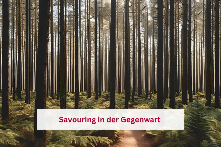 Savouring gezielt in der Gegenwart bei einem Spaziergang im Wald einsetzen