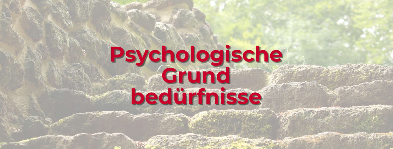 Psychologische Grundbedürfnisse nach Deci und Ryan Blog Image