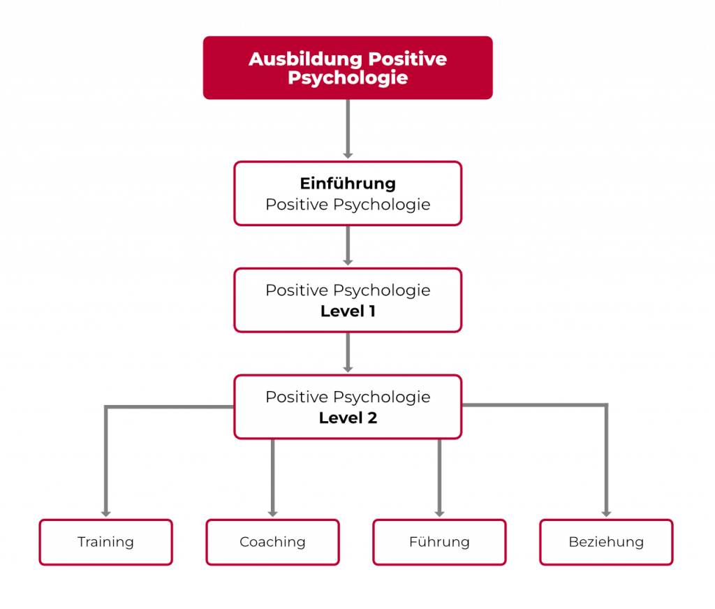 Struktur der Ausbildung Positive Psychologie bei abb-seminare