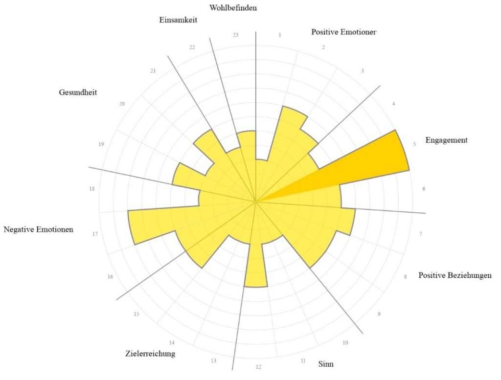 PERMA-Sonne als Visualisierung von 2020 mit wenigen Strahlen